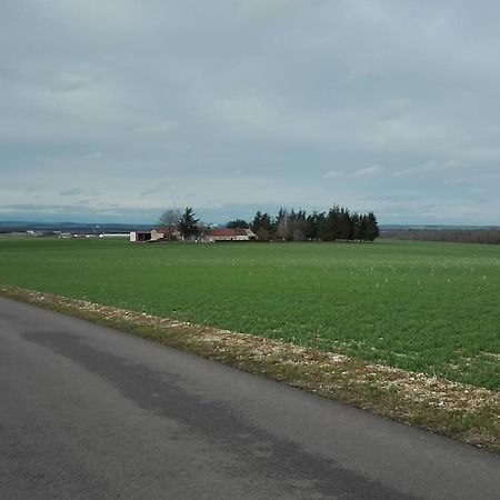 Maison Entiere Independante Noyers-sur-Serein Esterno foto