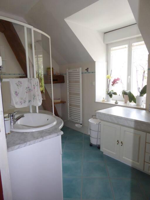 Maison Entiere Independante Noyers-sur-Serein Esterno foto