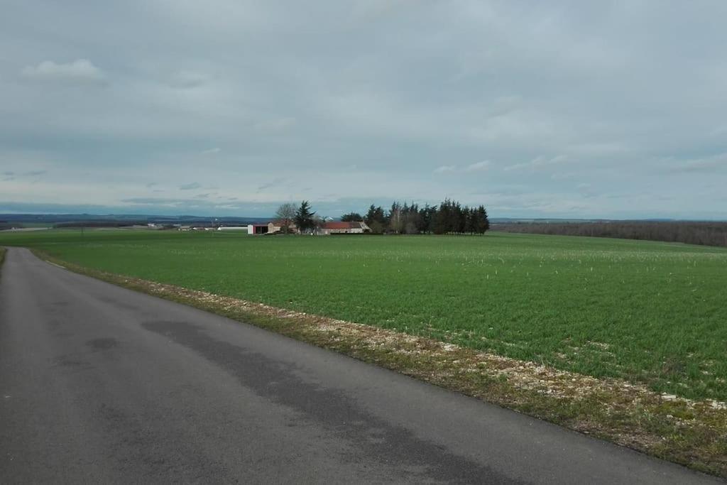 Maison Entiere Independante Noyers-sur-Serein Esterno foto